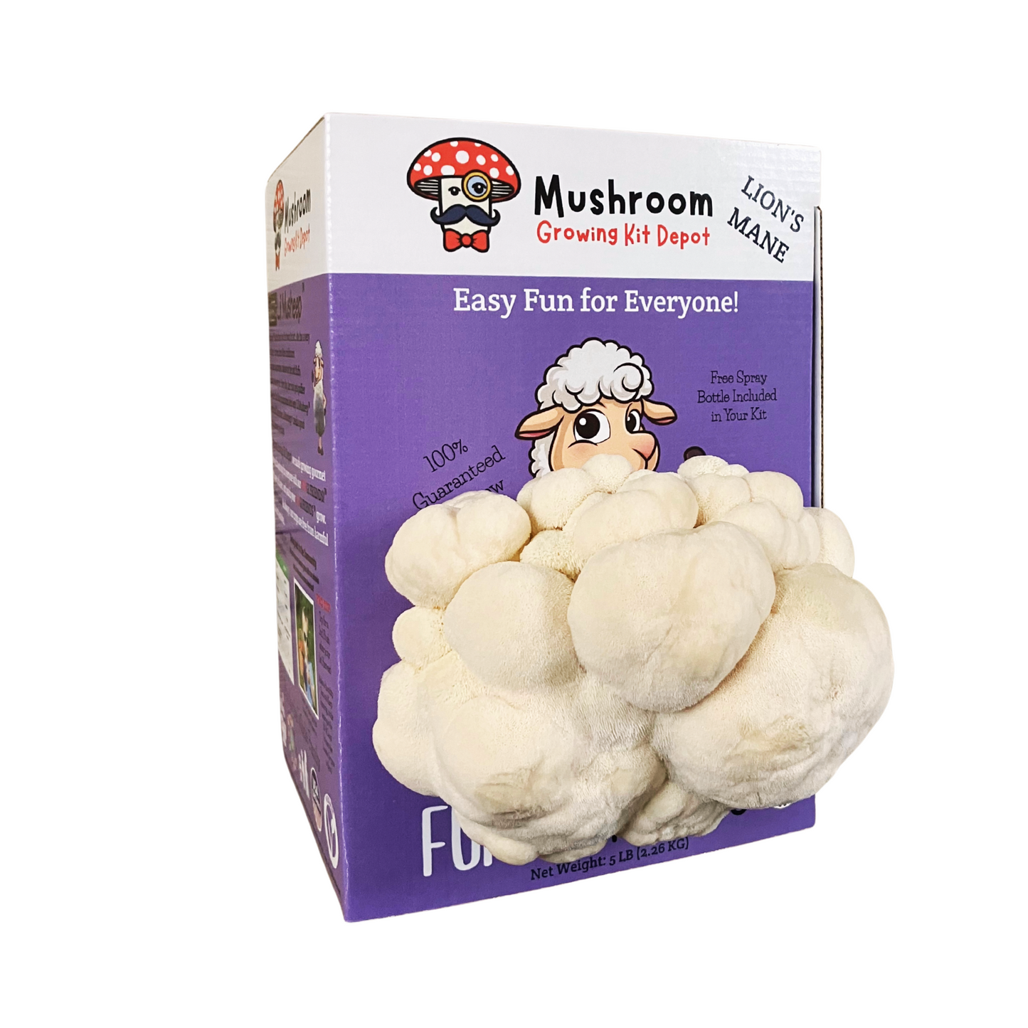 Lion's Mane Mushroom Grow Kit by Mushroom Growing Kit Depot, 5 lbs with box, featuring fresh mushroom growing kit and packaging.