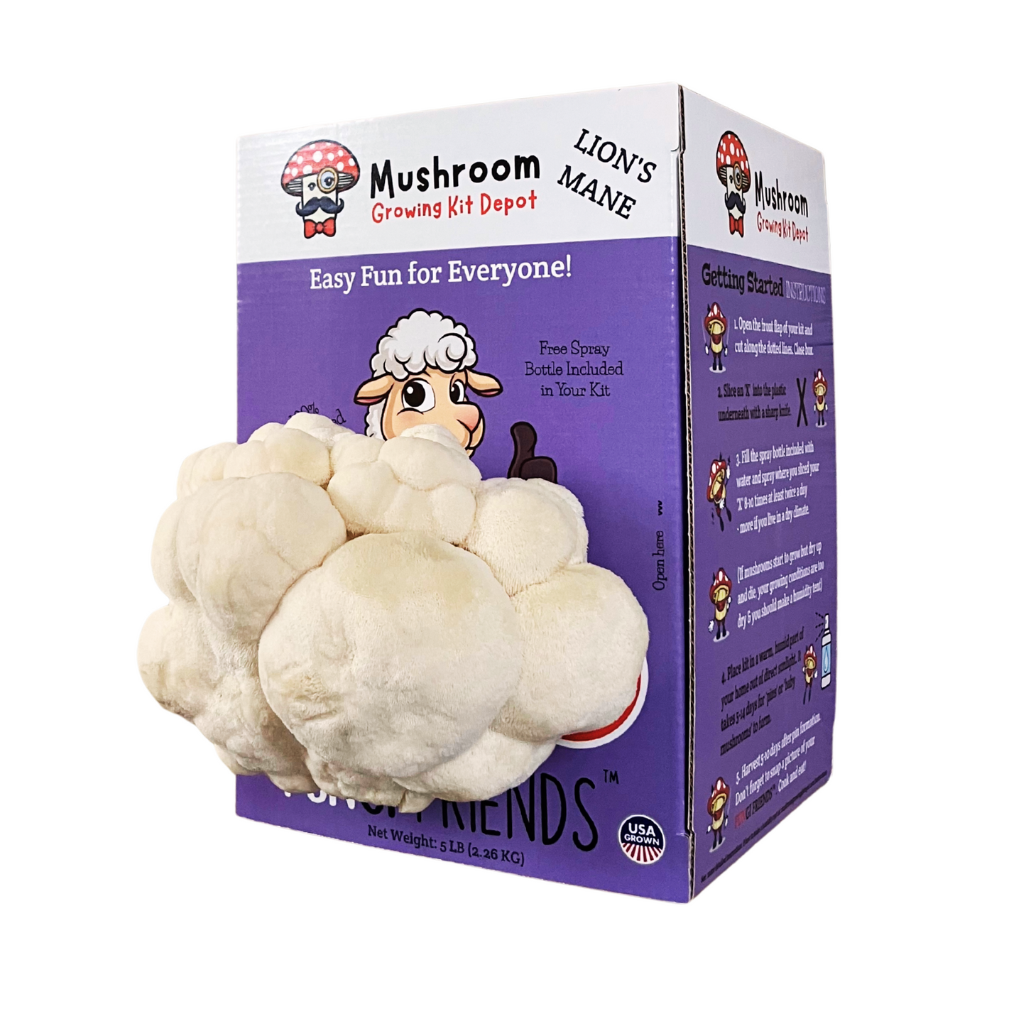 Lil Musheep - Lion's Mane Mushroom Grow Kit - 5 LBS (with box) - Blessings Grow Meadows