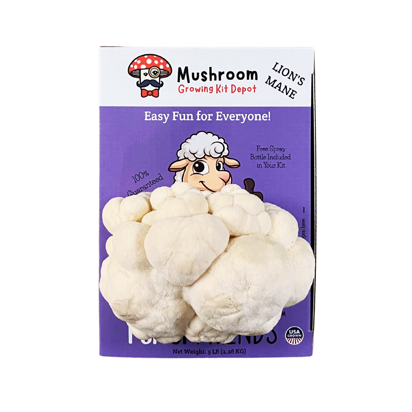 Lion's Mane Mushroom Grow Kit by Mushroom Growing Kit Depot, 5 lbs with box, ready for cultivating Lion's Mane mushrooms at home.