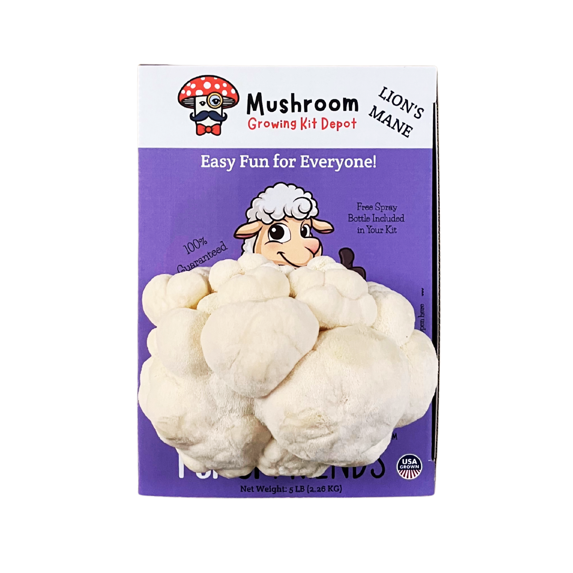 Lion's Mane Mushroom Grow Kit by Mushroom Growing Kit Depot, 5 lbs with box, ready for cultivating Lion's Mane mushrooms at home.