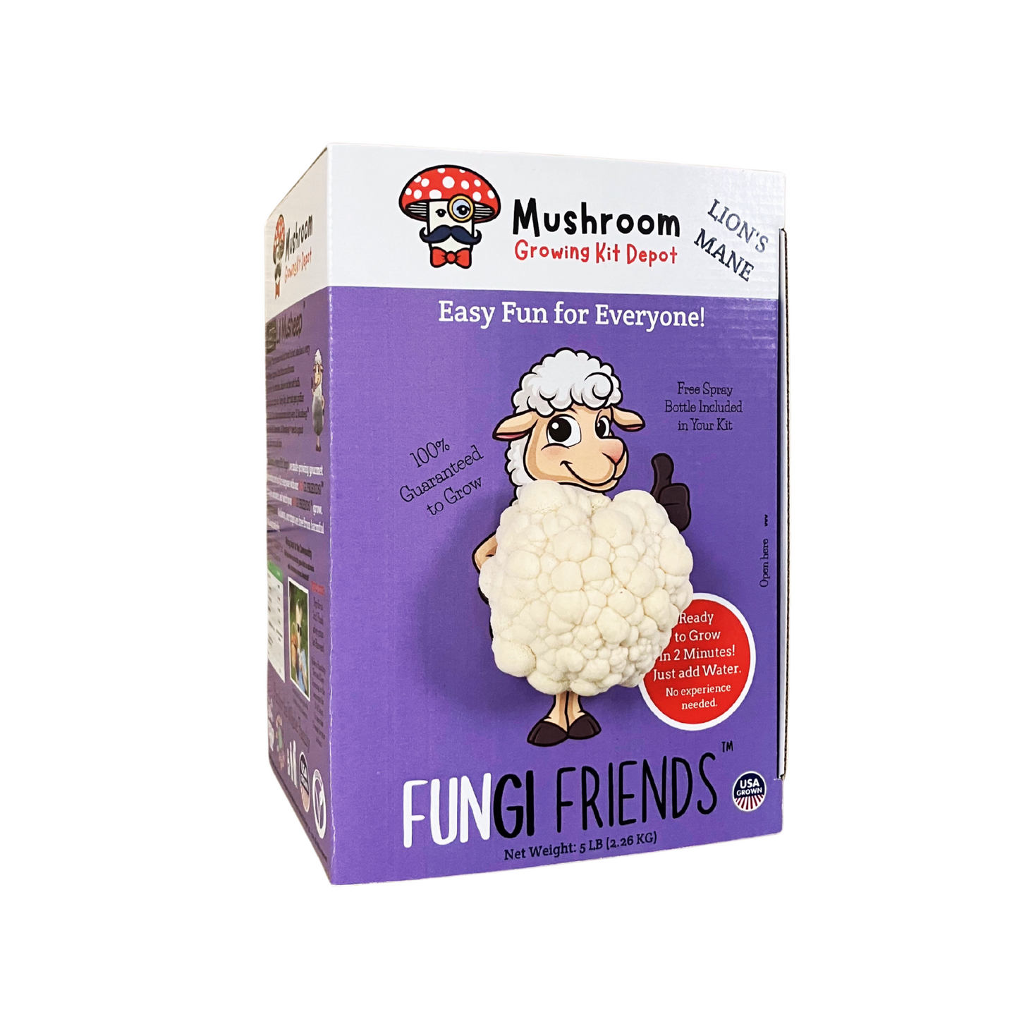 Lion's Mane Mushroom Grow Kit by Mushroom Growing Kit Depot, 5 lbs with box, fresh Lion's Mane mushroom culture in packaging.