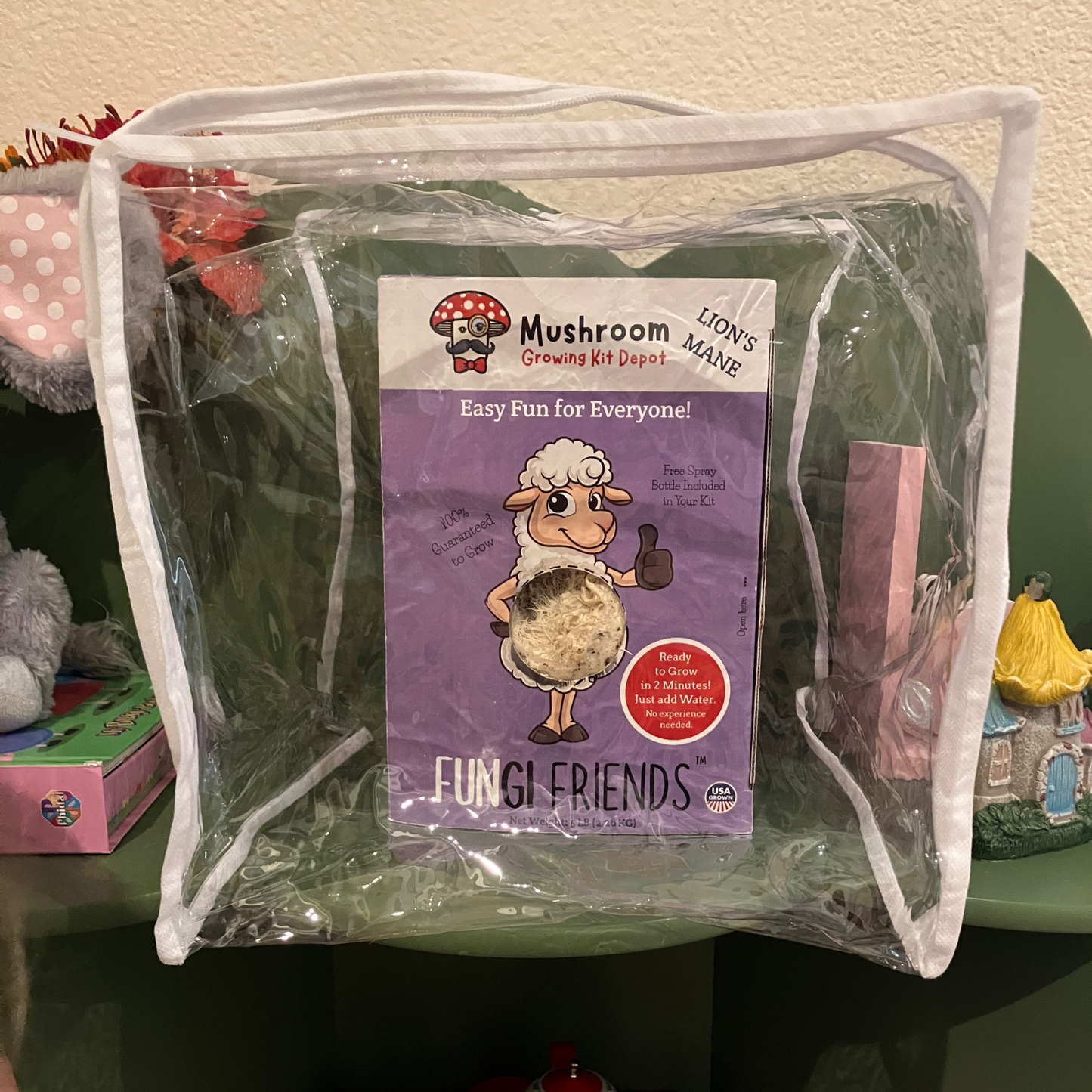 Lion's Mane Mushroom Grow Kit by Mushroom Growing Kit Depot, 5 lbs with box, featuring fresh mushroom mycelium and kit packaging.
