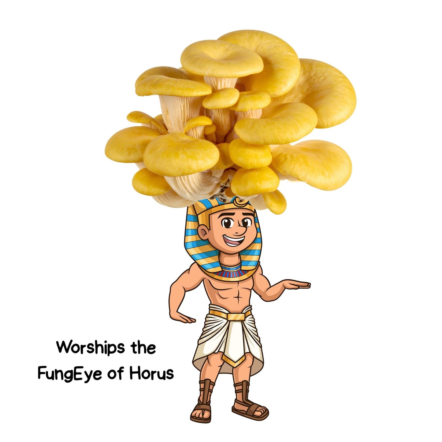 Fungi Pharaoh Gold Oyster Mushroom Grow Kit by Mushroom Growing Kit Depot, 6.5 lbs, showing oyster mushroom clusters on the kit.