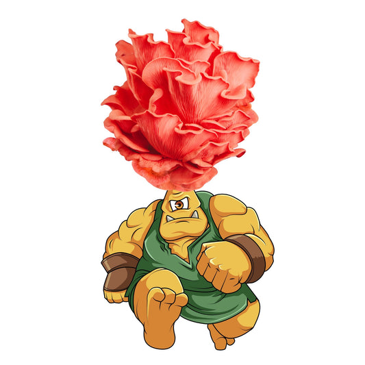 Myclops - Pink Oyster Mushroom Grow Kit - 6.5 LBS - Blessings Grow Meadows