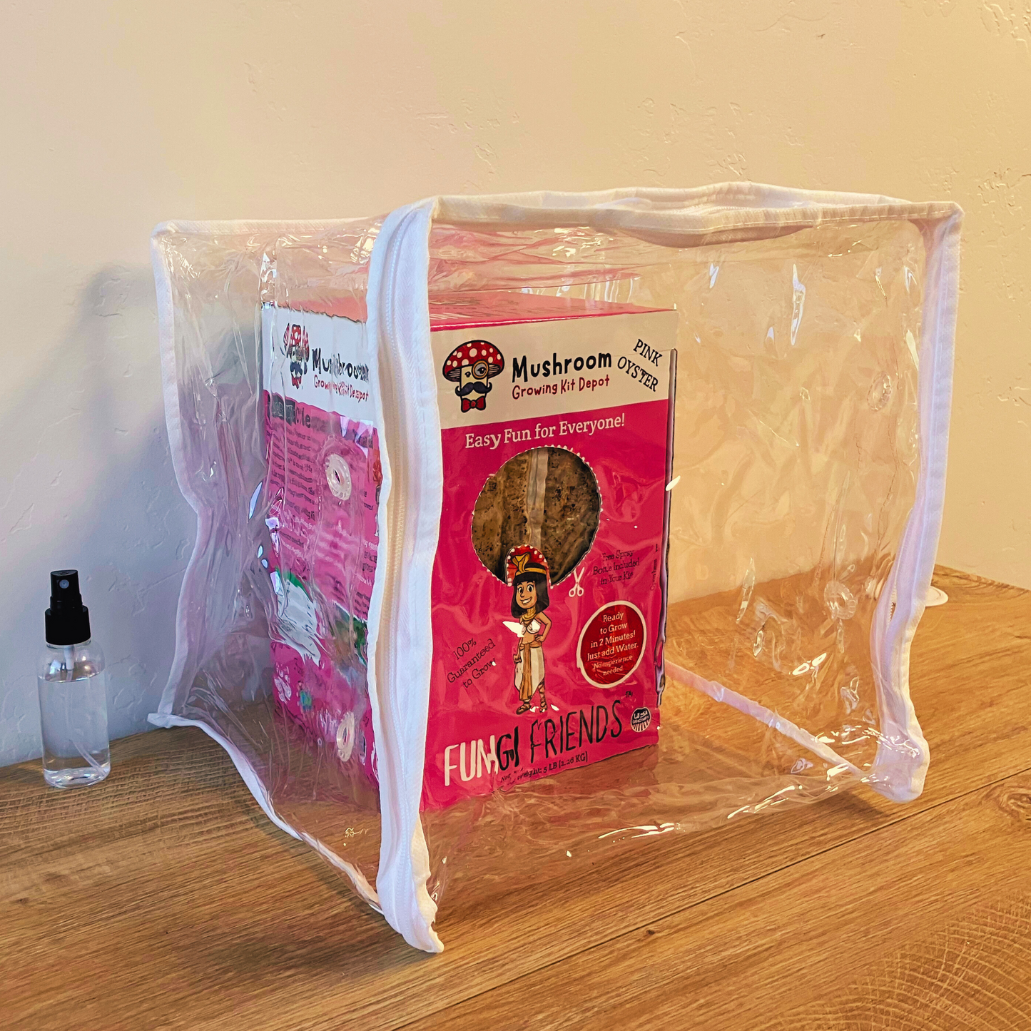 Pink oyster mushroom grow kit by Mushroom Growing Kit Depot, 5 lbs with box, showing healthy pink oyster mushrooms ready for harvesting.