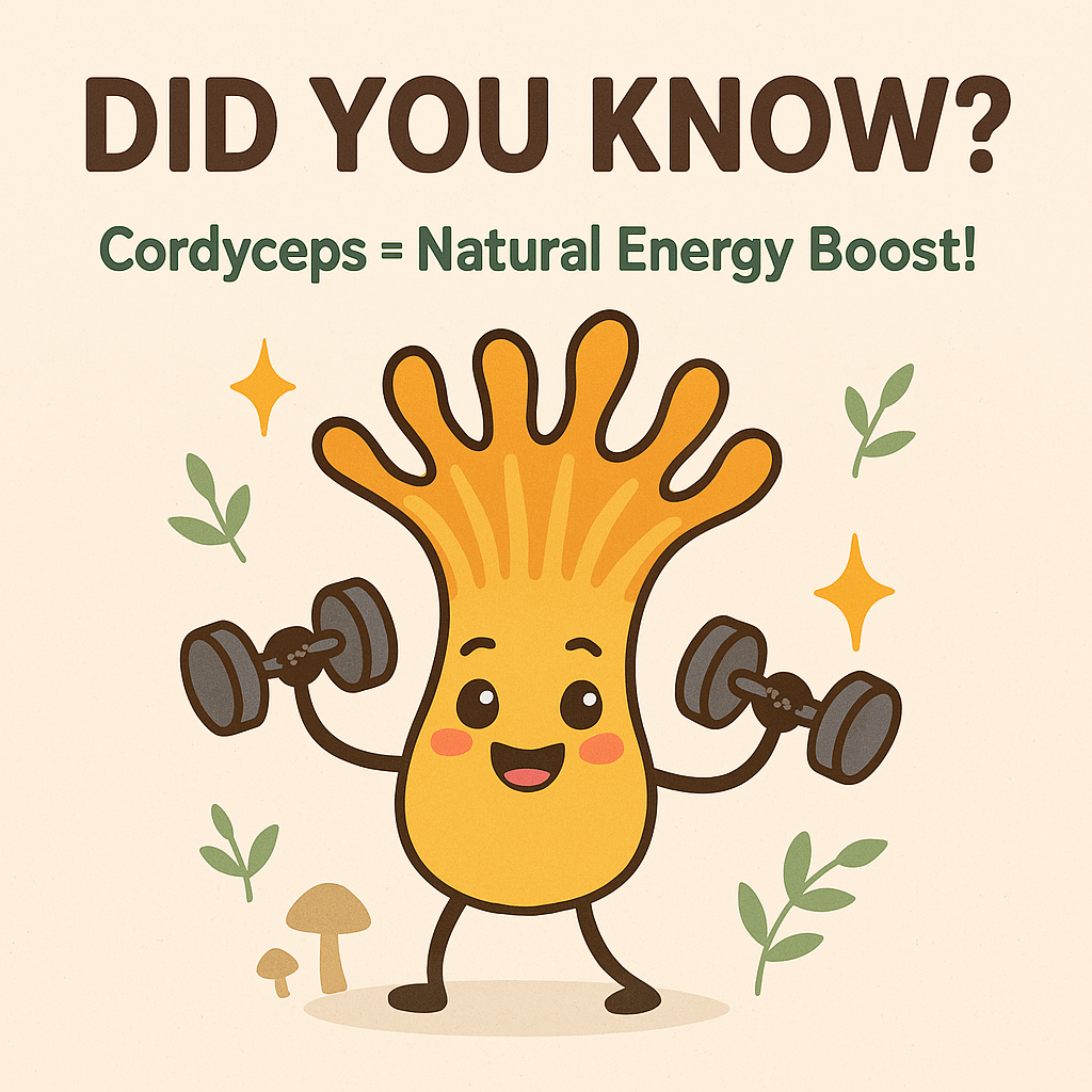 Mycomatrix Cordyceps Adaptogenic Mushroom Extract - Blessings Grow Meadows -