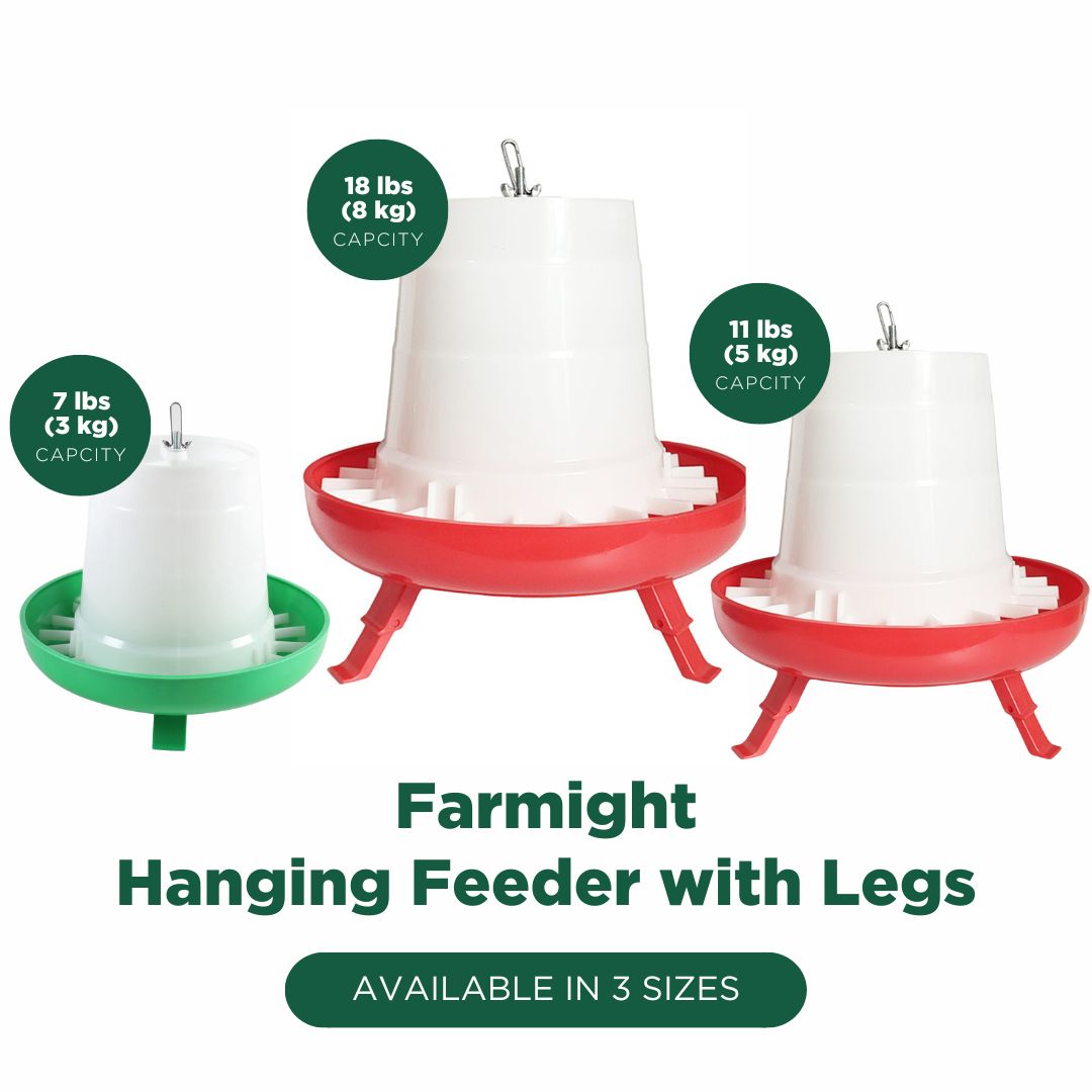 The My Pet Chicken Farmight Open Top Hanging Feeder with Legs is shown in 3 sizes (7 lbs/3 kg, 11 lbs/5 kg, 18 lbs/8 kg) and 2 colors. Each poultry feeder has a white open top and green or red base. Text reads Available in 3 Sizes.