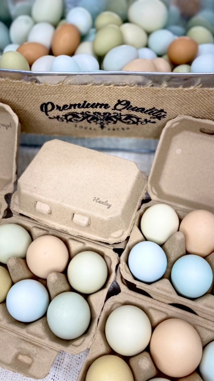Half Dozen Egg Cartons - Henlay Blank Flat Top, Six Pack, 2 colors, 20 or 100 - Blessings Grow Meadows