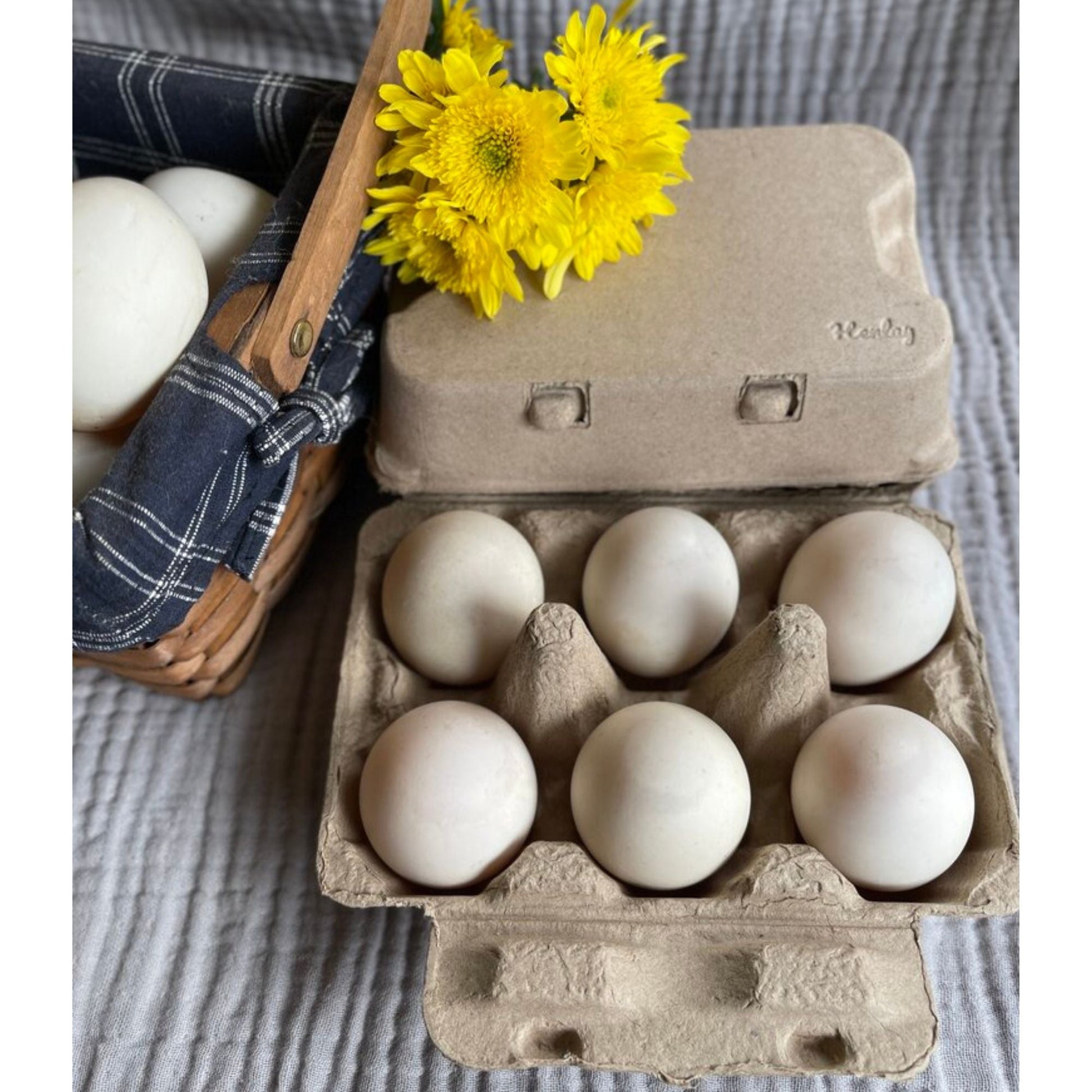 Henlay Duck Egg Cartons - Holds Half Dozen Jumbo Eggs- Blank Flat Top, 2 colors, 20 or 100 - Blessings Grow Meadows