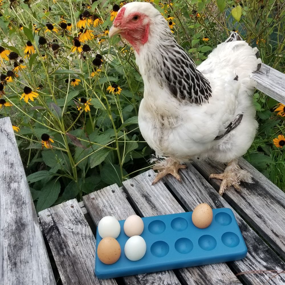 Henlay Decorative Egg Storage Tray: Wooden Egg Holder for Refrigerator, Kitchen Counter, Serving, or Display - Blessings Grow Meadows