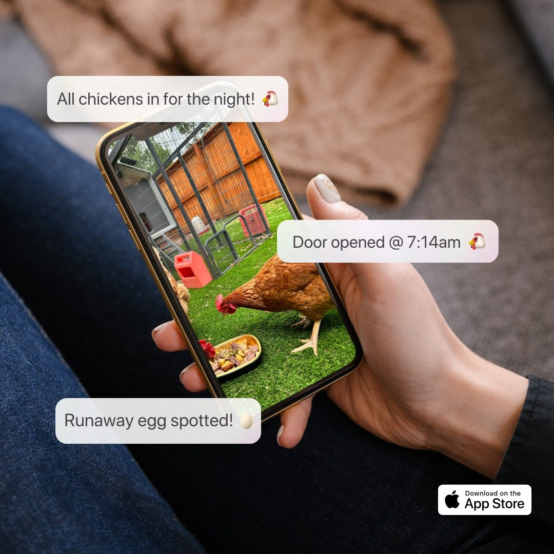 The Smart Coop + Base (+ Free Chicks! 🐣) - Blessings Grow Meadows