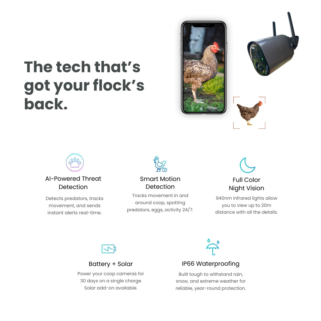 The Smart Coop + Base (+ Free Chicks! 🐣) - Blessings Grow Meadows