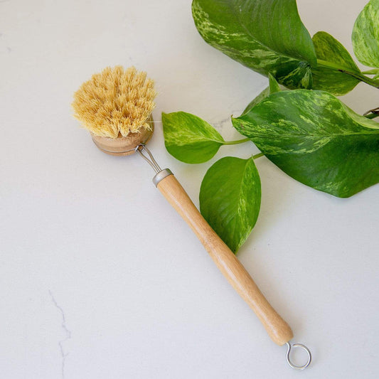 The ZeroWasteStore.com Long Handle Dish Brush features a bamboo handle, stiff yellow bristles, and a metal hook. It rests on a white surface beside a green leafy plant.
