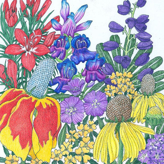 North American Perennial Wildflower Mix (1/4 lb) - Blessings Grow Meadows