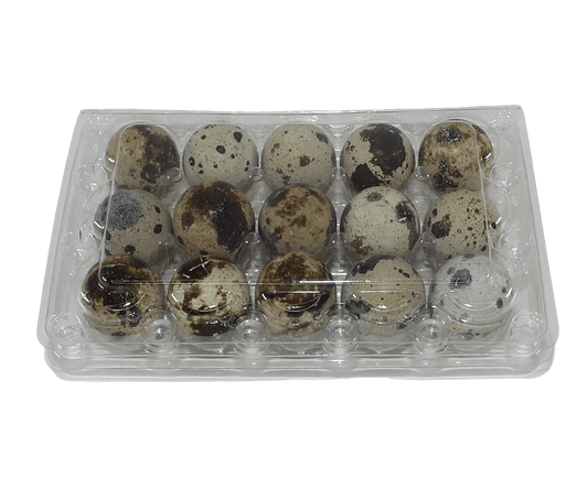 15-cell Jumbo Quail Egg Cartons (3x5)