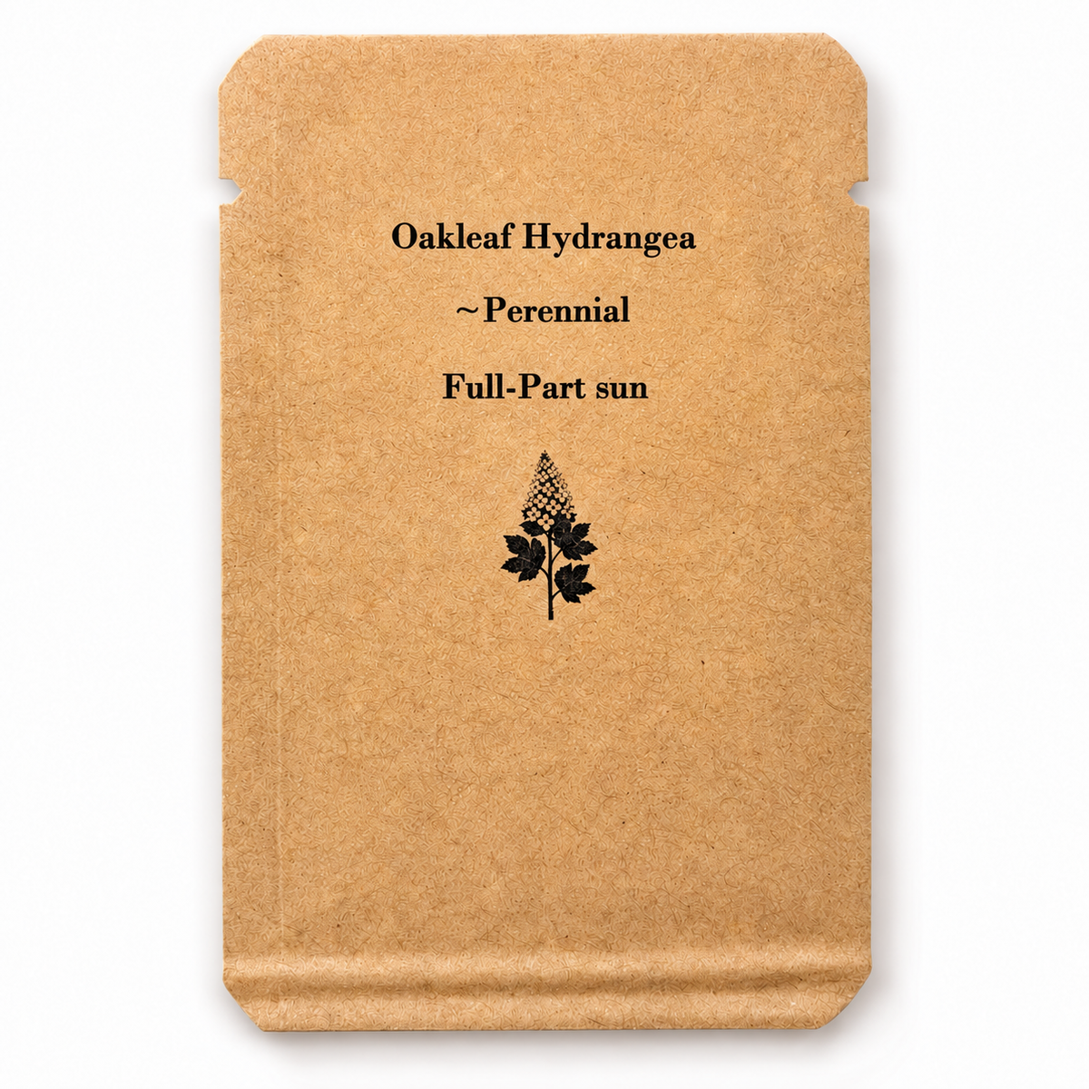 Oakleaf Hydrangea Seeds – Hydrangea quercifolia – Native Flowering Shrub – 100 Seeds – Zones 5–9