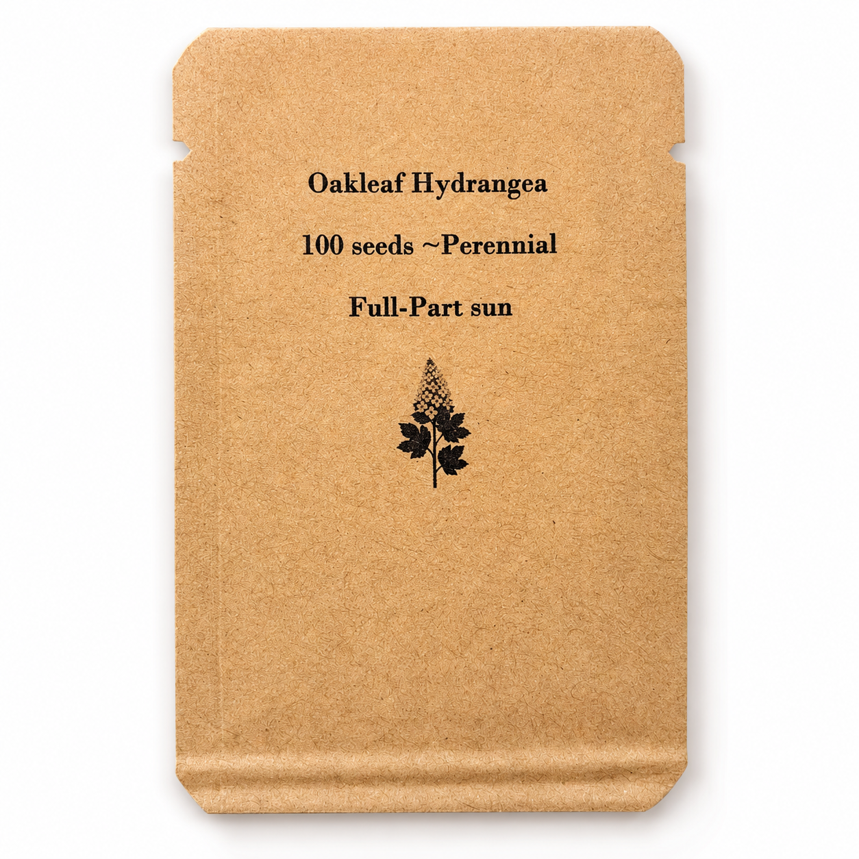 Oakleaf Hydrangea Seeds – Hydrangea quercifolia – Native Flowering Shrub – 100 Seeds – Zones 5–9