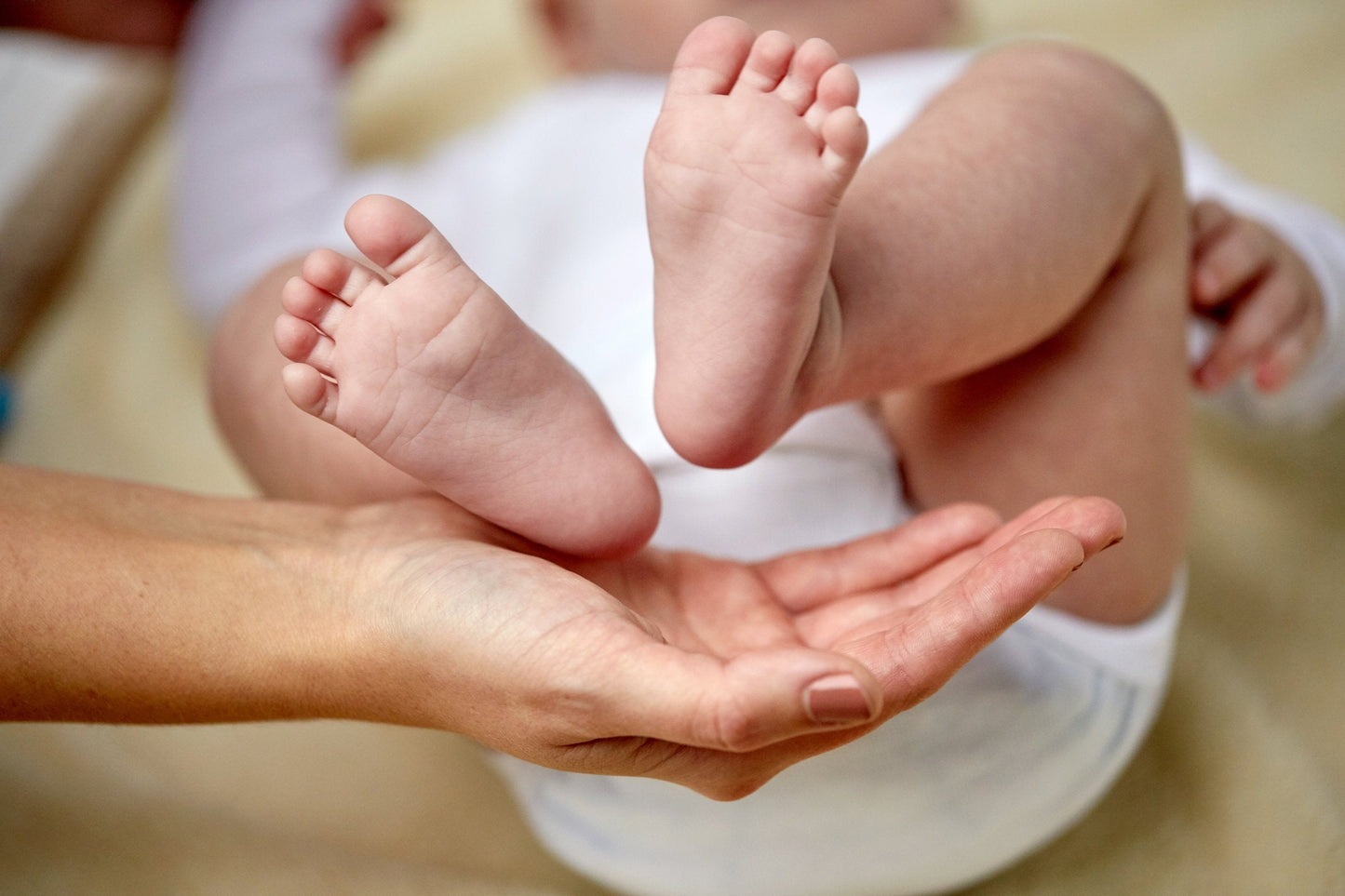 Organic handmade baby lotion from Sweet Harvest Farms, gentle baby and toddler skincare in a soft, natural bottle.