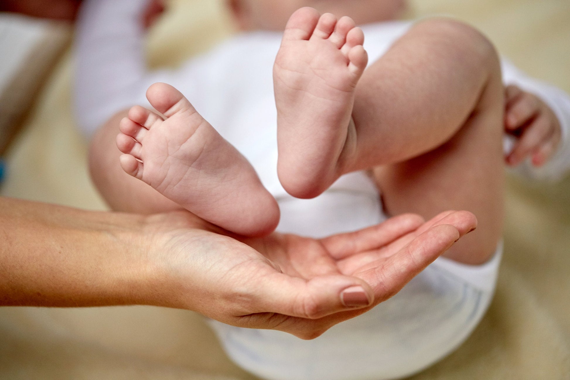 Organic handmade baby lotion from Sweet Harvest Farms, gentle baby and toddler skincare in a soft, natural bottle.