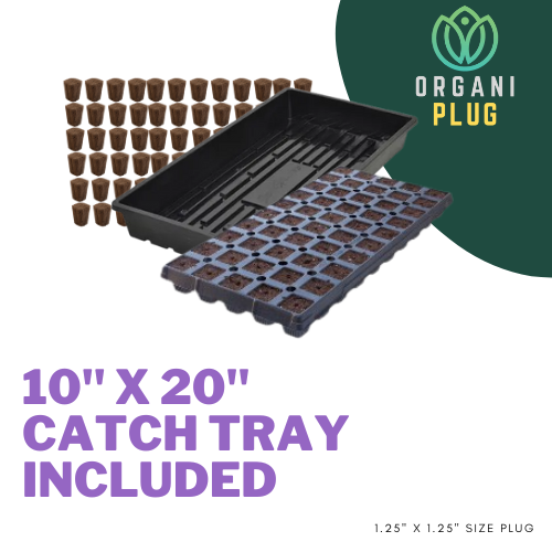 OrganiPlug seed and cutting propagation plugs in a standard tray, ideal for starting plants and cuttings in nurseries.