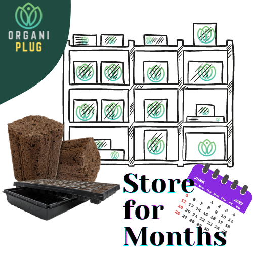 OrganiPlug Seed & Cutting Plugs in a pre-filled tray with 50 plugs, designed for propagation, by GrowersHouse.