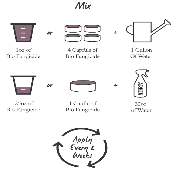 Arber Organic Bio Fungicide is easy to use: mix 1 oz (4 capfuls) per gallon or 0.25 oz (1 capful) per 32 oz of water. Apply every 2 weeks for natural plant fungus control and disease protection with simple illustrated instructions.