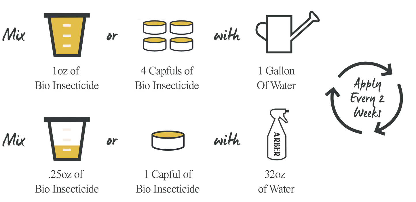 Mix Arber Organic Bio Insecticide: 1oz (4 capfuls) per gallon or 0.25oz (1 capful) per 32oz water. Apply every 2 weeks to target soil pests. Features easy measuring, watering can, spray bottle, and repeat cycle icons.