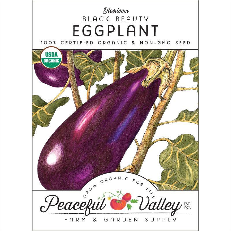 Black Beauty Eggplant Seeds (Organic) - Blessings Grow Meadows