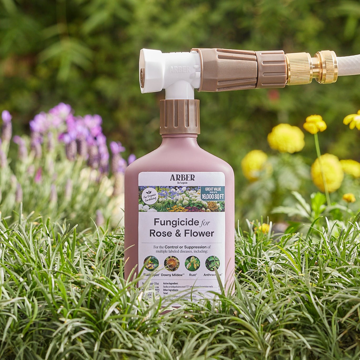 Organic Fungicide for Rose & Flower - Blessings Grow Meadows