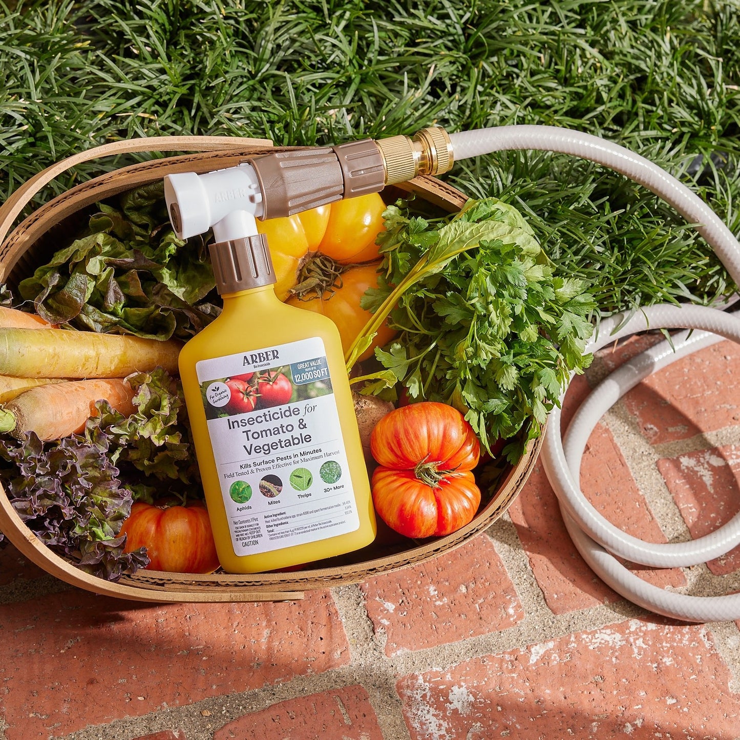 Organic Insecticide for Tomato & Vegetable - Blessings Grow Meadows