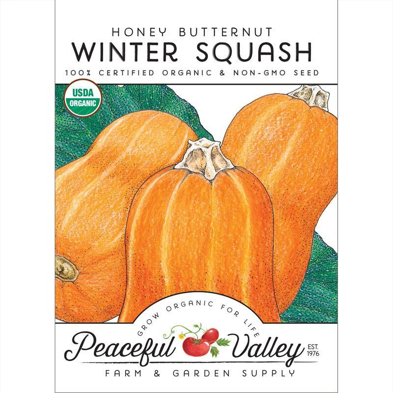 Organic Honey Butternut Winter Squash seeds from Grow Organic, showing fresh vegetable seed packets for planting.