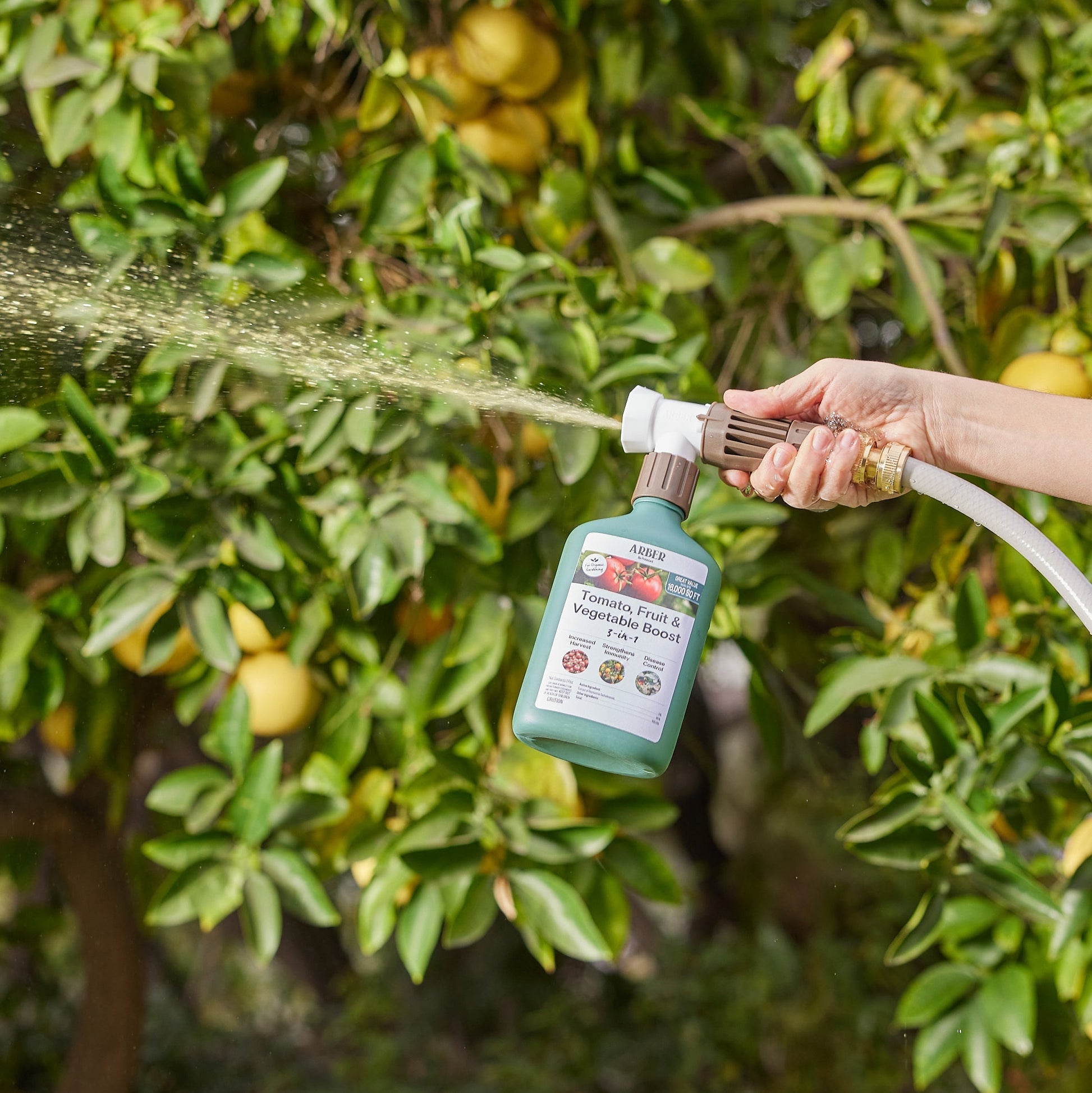 Organic Tomato, Fruit & Vegetable Boost - Blessings Grow Meadows