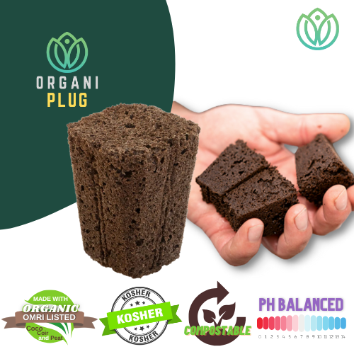 GrowersHouse Ventana Plant Science OrganiPlug seed and cutting plugs in growing media trays for propagation and root development.