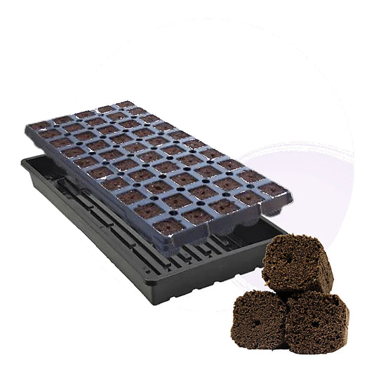 GrowersHouse OrganiPlug seed and cutting plugs in a pre-filled tray, 50 durable plugs for gardening and propagation.