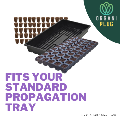 GrowersHouse OrganiPlug seed and cutting plugs in a pre-filled tray, showing 50 biodegradable plugs for plant propagation.