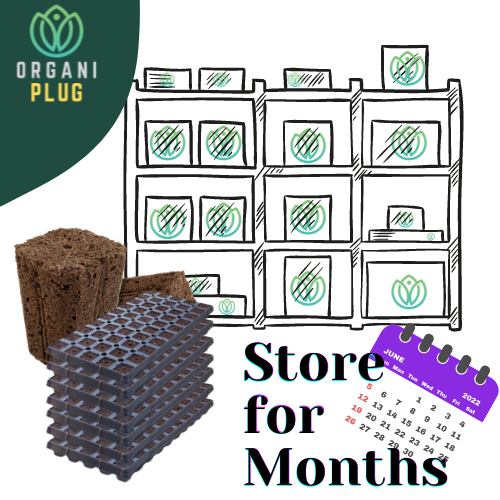 GrowersHouse OrganiPlug seed and cutting plugs in a tray, pre-filled with 50 biodegradable plugs for plant propagation.
