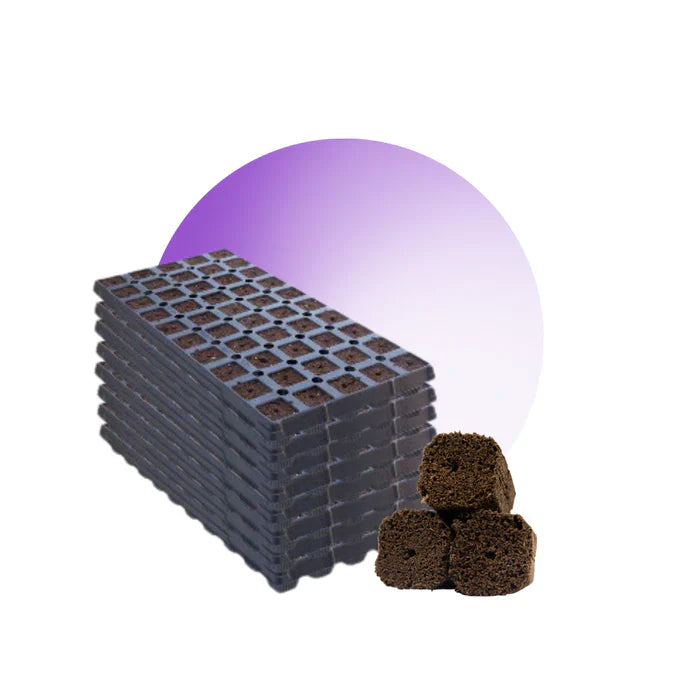 GrowersHouse OrganiPlug seed and cutting plugs in a pre-filled tray with 50 plugs for planting and propagation.
