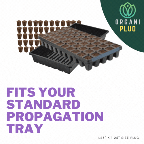OrganicSeed & Cutting Plugs in a pre-filled tray with 50 tall plugs, ideal for seed starting and plant propagation.