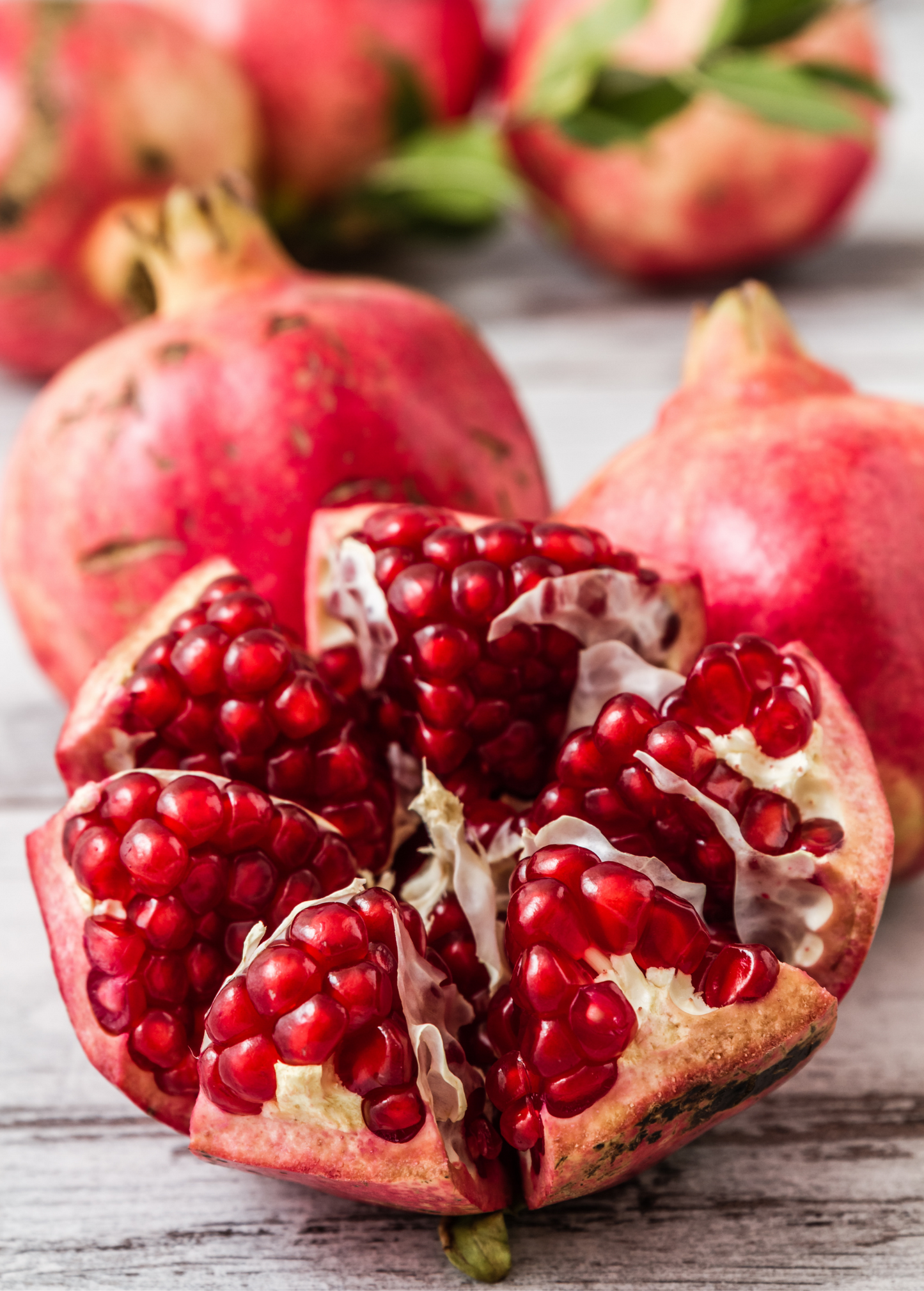 Pomegranate 'Parfianka' tropical fruit tree by Sow Exotic, showing healthy young pomegranate tree with green leaves and new growth.