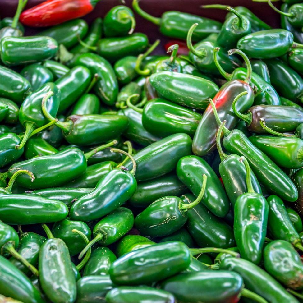 Nadapeno Pepper - Blessings Grow Meadows