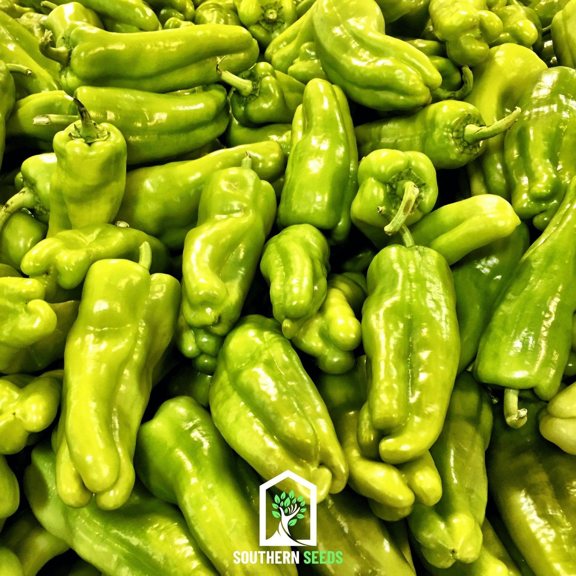 Pack of Southern Seeds Pepper Seed Collection featuring 6 heirloom pepper seed varieties for home gardening.
