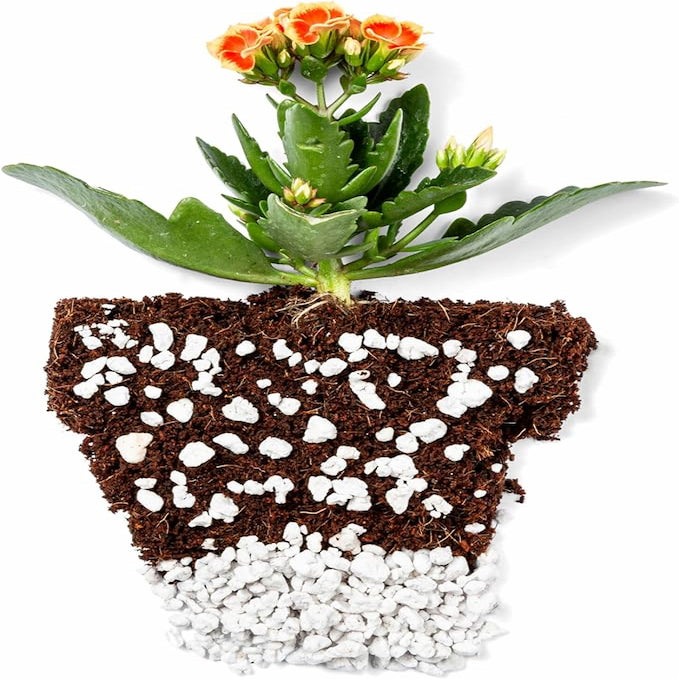 Perlite Bliss Premium Horticultural Grade Perlite - Blessings Grow Meadows