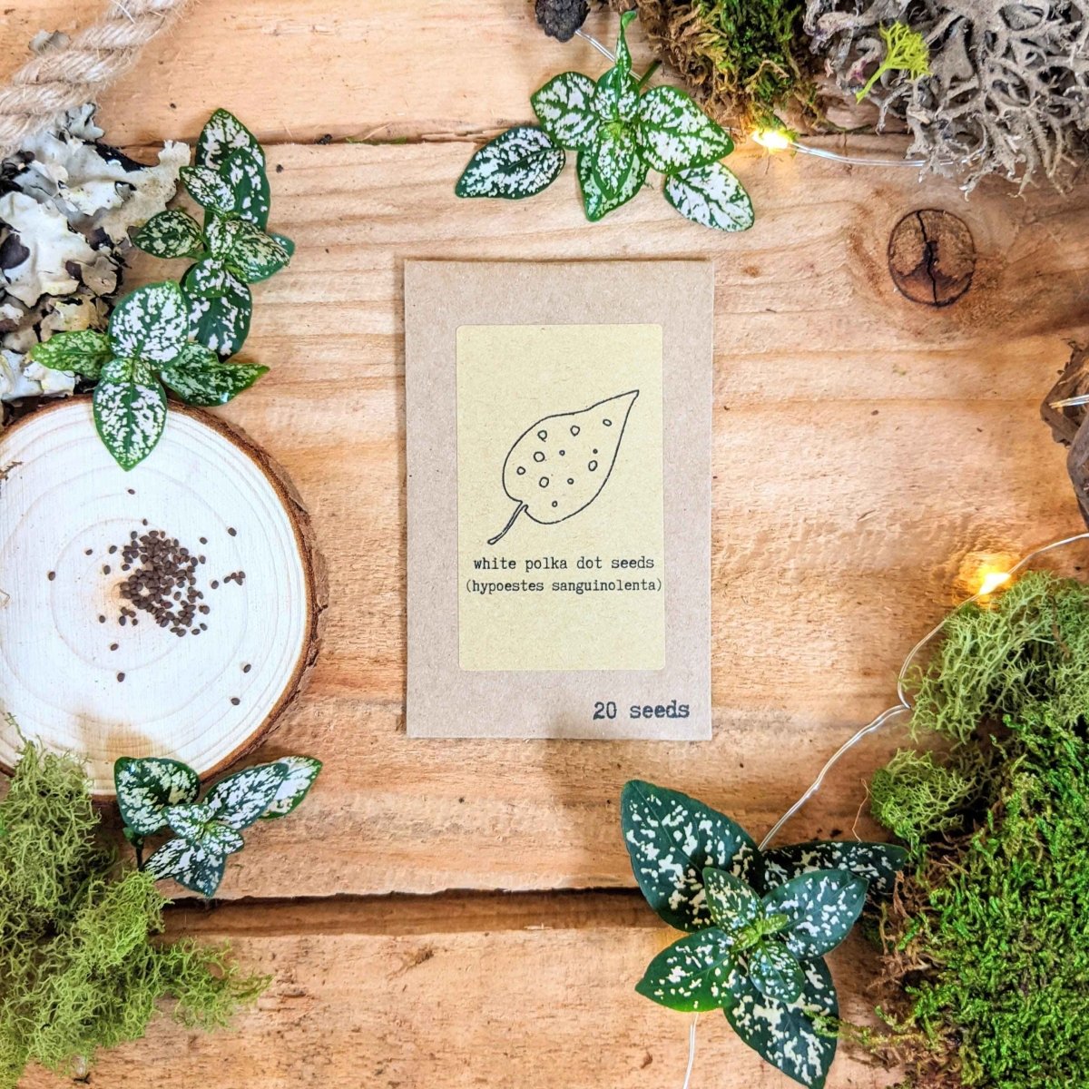 Pet-friendly houseplant seeds from Plantflix, featuring various easy-to-grow indoor plant seeds for pet-safe gardening.