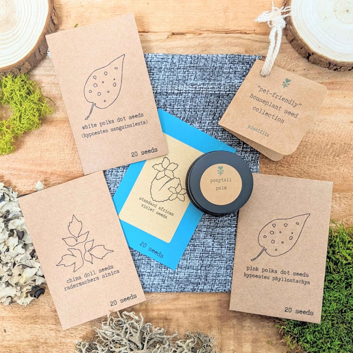 Pet-friendly houseplant seeds from Plantflix, featuring a variety of safe seeds for growing indoor houseplants at home.
