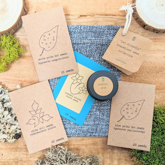 Pet-friendly houseplant seeds from Plantflix, featuring a variety of safe seeds for growing indoor houseplants at home.
