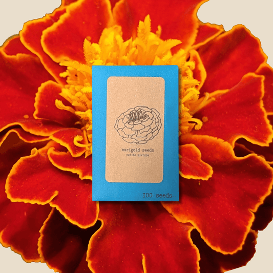 Close-up of Petite Marigold flower seeds from Plantflix, showing small seed packets for planting petite marigold flowers.