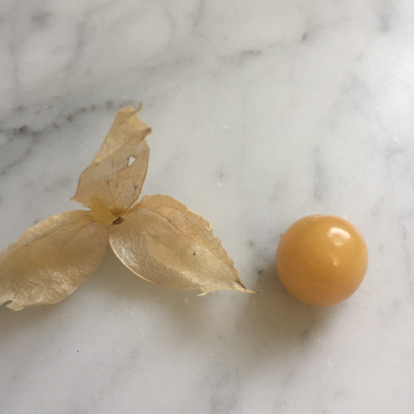 Pineapple Ground Cherry Seeds – Heirloom Husk Cherry, Sweet Tropical Flavor, 25 Count