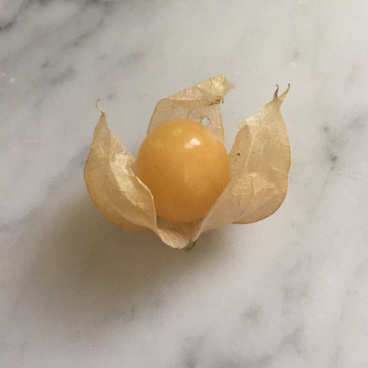 Pineapple Ground Cherry seeds from Steep Hill Garden, heirloom husk cherry with sweet tropical flavor, shown in image.
