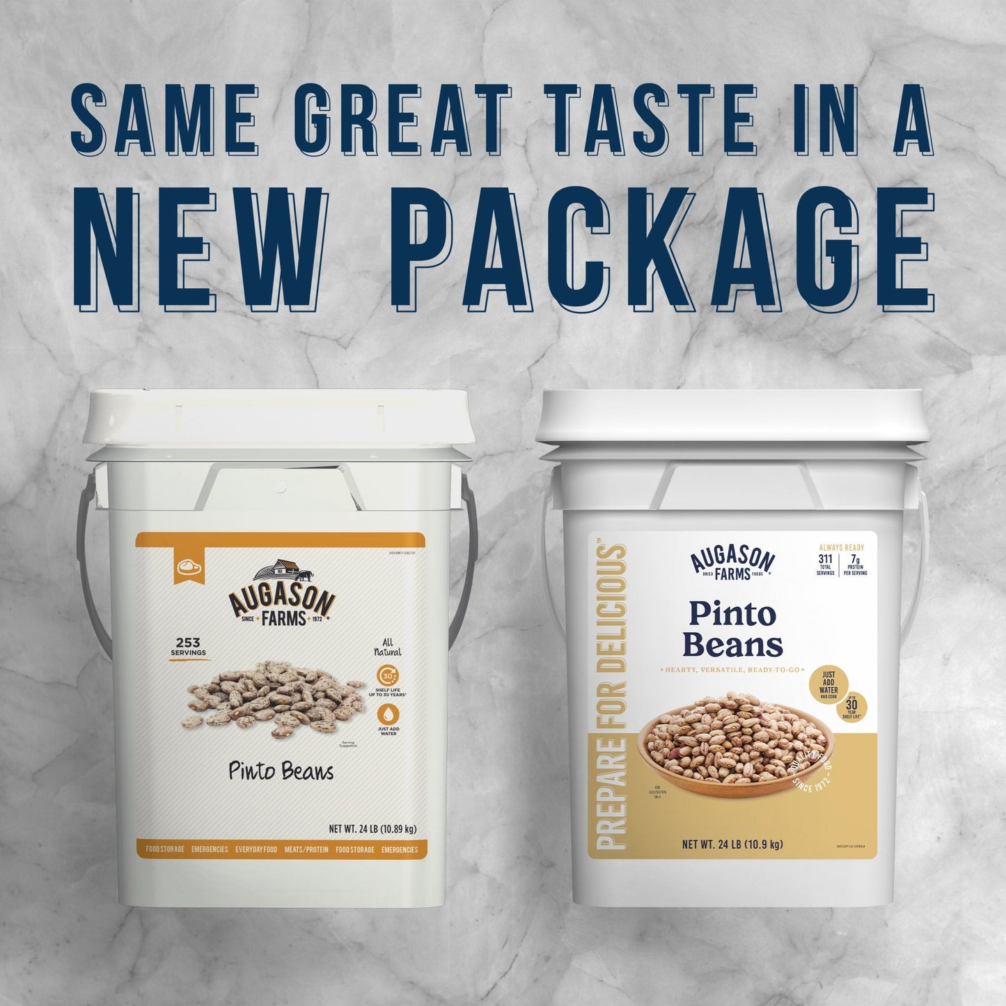 Dried Pinto Beans 4 Gallon Pail, 311 Servings - Blessings Grow Meadows