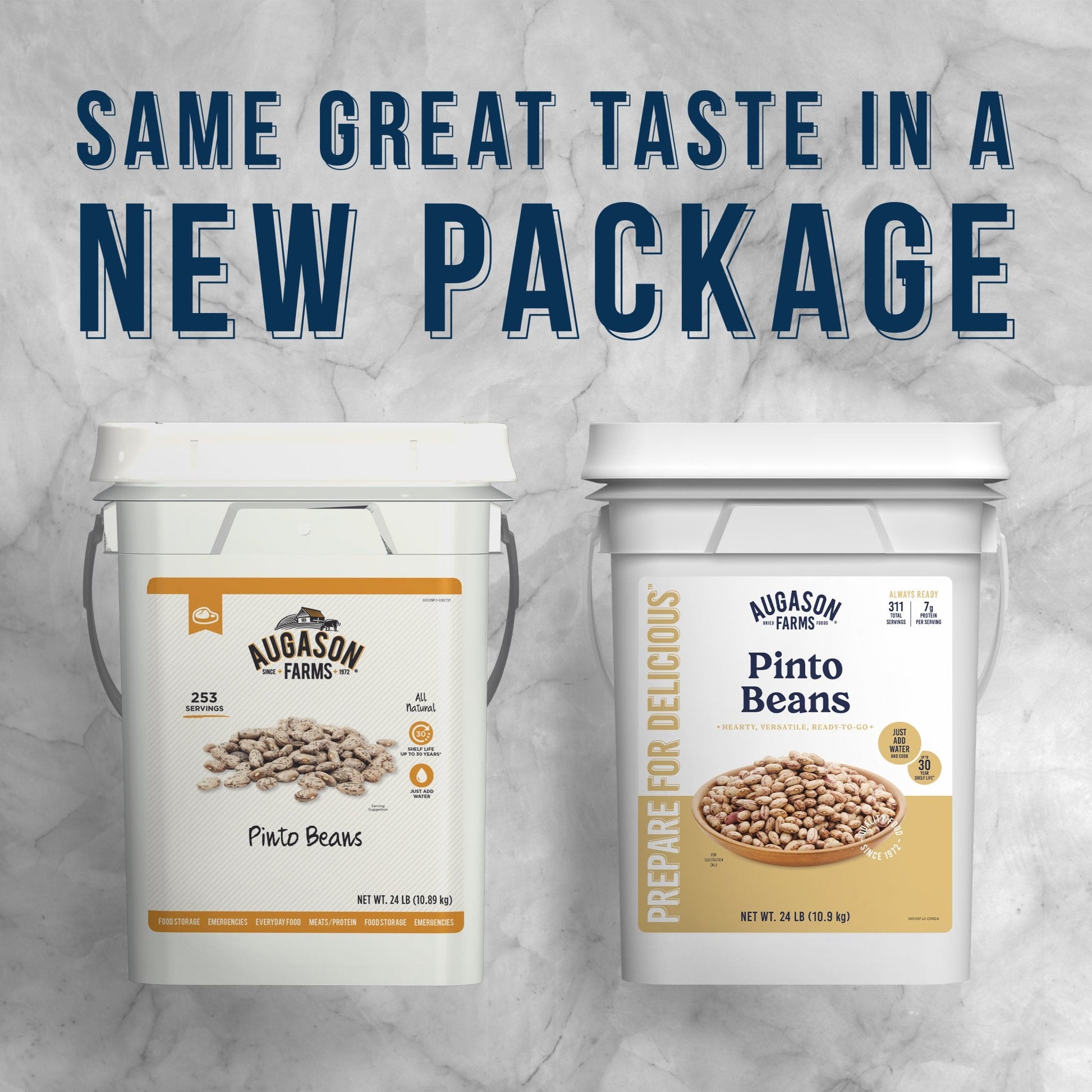 Dried Pinto Beans 4 Gallon Pail, 311 Servings - Blessings Grow Meadows